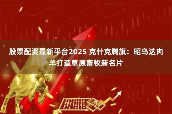 股票配资最新平台2025 克什克腾旗：昭乌达肉羊打造草原畜牧新名片