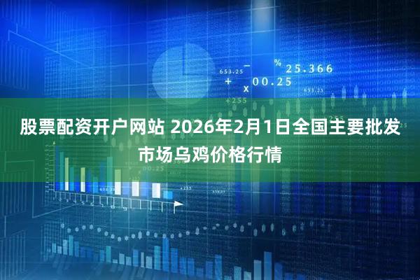 股票配资开户网站 2026年2月1日全国主要批发市场乌鸡价格行情
